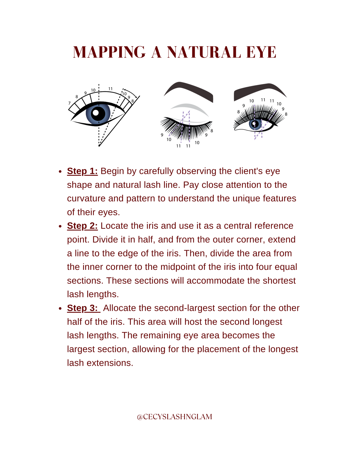 Lash Training Guide for Lash Instructors